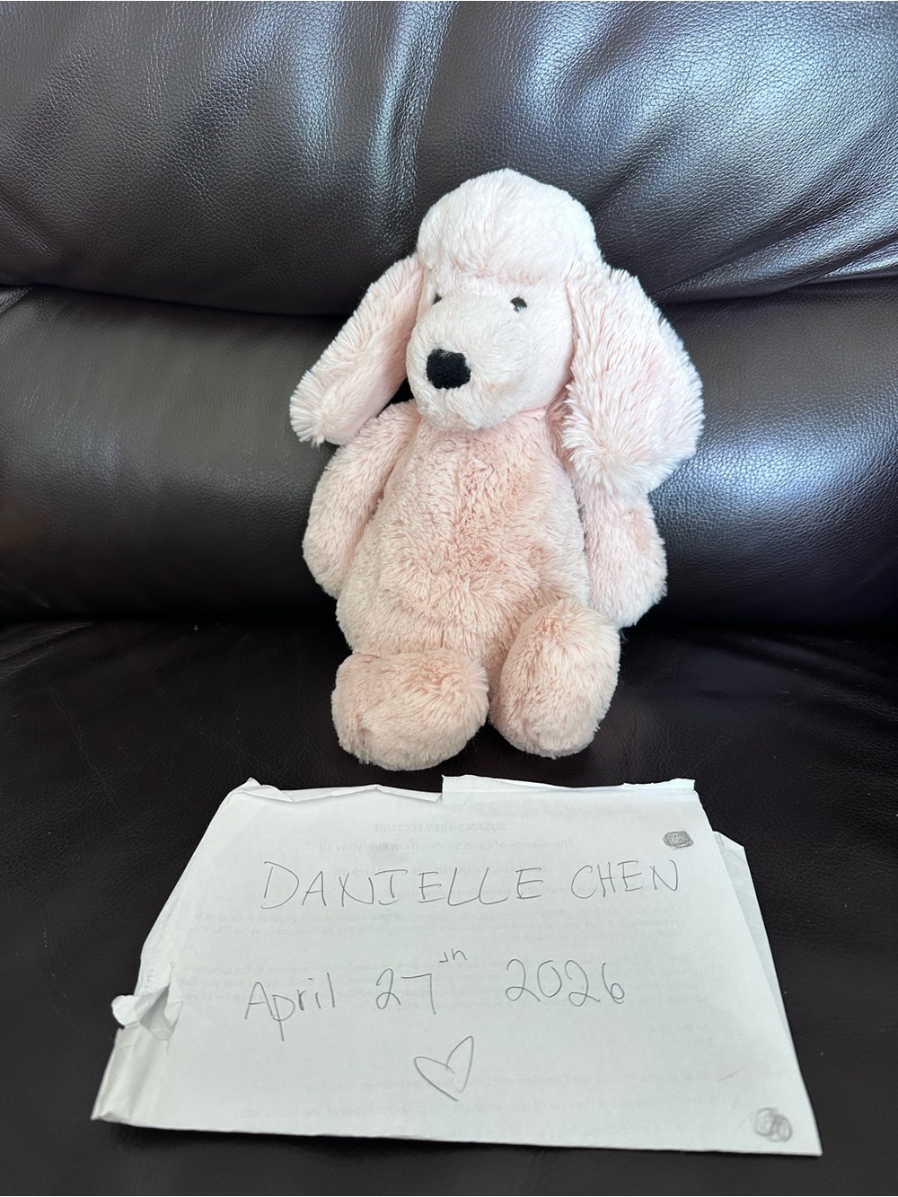 GUC Jellycat Pink Poodle Dog Small